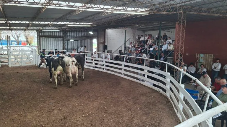 La Lehmann celebró 50 años de remates en la Feria de Sarmiento