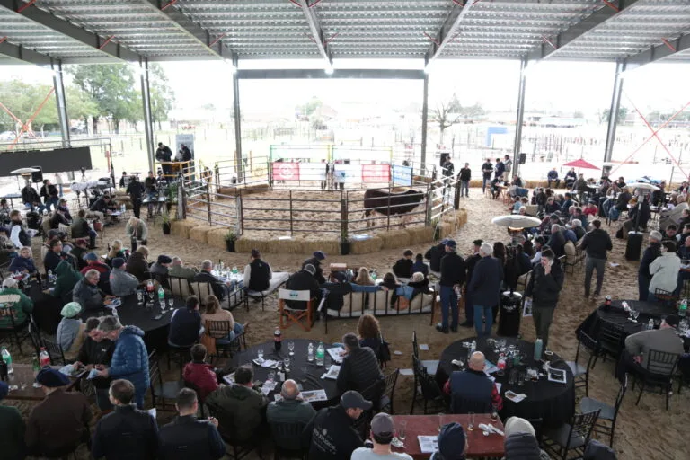 San Justo fue escenario de un gran remate de genética con Los Charabones, Don Pedro y Don Chiquito